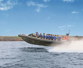 Manly Ocean Adventures - Accommodation Fremantle 2