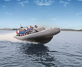 Manly Ocean Adventures - Accommodation Fremantle 1