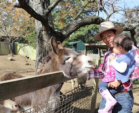 Golden Ridge Animal Farm - Accommodation Fremantle 1