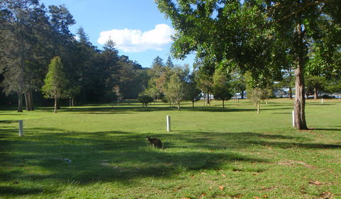 The Basin Picnic Area - Accommodation Fremantle 1