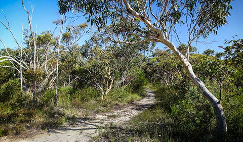 Aboriginal Heritage Walk - Accommodation Fremantle 2