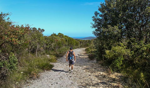 Aboriginal Heritage Walk - Accommodation Fremantle 3