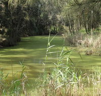 Second Ponds Creek walk - Accommodation Fremantle