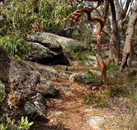 Box Head track - Accommodation Fremantle