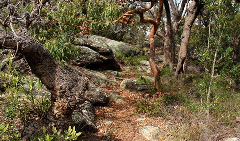 Box Head Track - Accommodation Fremantle 0