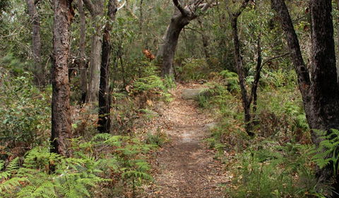 Box Head Track - Accommodation Fremantle 1