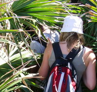 Palm Jungle loop track - Accommodation Fremantle