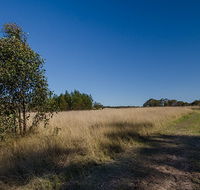 Scheyville horse riding trails - Accommodation Fremantle