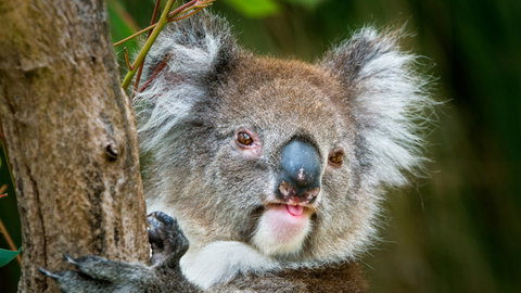 Brisbane Water National Park - Accommodation Fremantle 2
