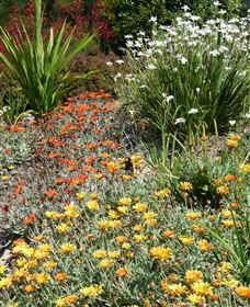 Mt Penang Gardens - Accommodation Fremantle 4