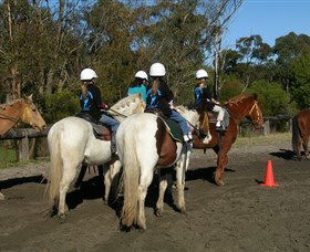 Darkes Forest Riding Ranch - Accommodation Fremantle 0