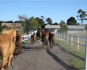Darkes Forest Riding Ranch - Accommodation Fremantle 1