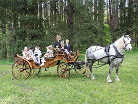 Classic Carriage Drives - Accommodation Fremantle 0