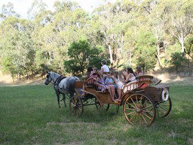 Classic Carriage Drives - Accommodation Fremantle 3