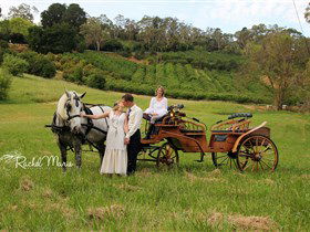 Classic Carriage Drives - Accommodation Fremantle 2