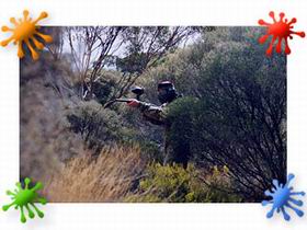 Paintball Skirmish SA - Accommodation Fremantle 2