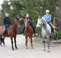 Academy of Dressage - Accommodation Fremantle