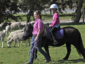 Hahndorf Farm Barn - Accommodation Fremantle 2