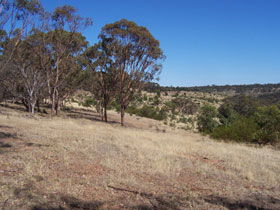 Onkaparinga River National Park - Accommodation Fremantle 0