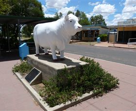 Aramac - The White Bull - Accommodation Fremantle 2