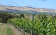 Possingham And Summers Cellar Door - thumb 3