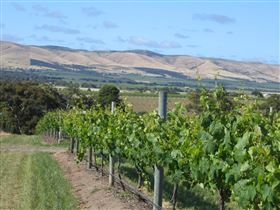 Possingham And Summers Cellar Door - Accommodation Fremantle 3