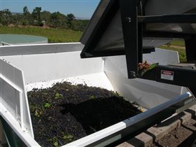 Possingham And Summers Cellar Door - Accommodation Fremantle 1