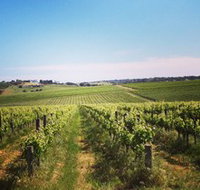 Adelaide Winemakers - Accommodation Fremantle