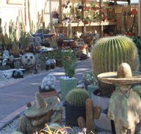 Cactus Creations - Accommodation Fremantle