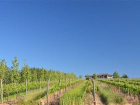 McLaren Vale III Associates - Accommodation Fremantle 3