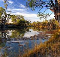 Murray River National Park - Accommodation Fremantle