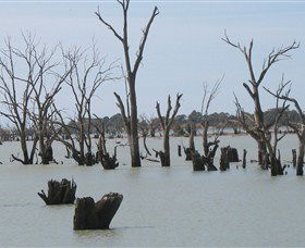 Lake Victoria - Accommodation Fremantle 4