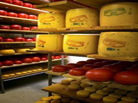 Alexandrina Cheese Company - Accommodation Fremantle 0