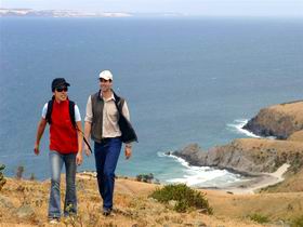 Fleurieu Peninsula SA Accommodation Fremantle