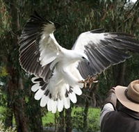 Raptor Domain - Accommodation Fremantle