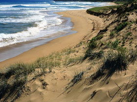 Waitpinga SA Accommodation Fremantle