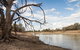 Toorale National Park - thumb 0