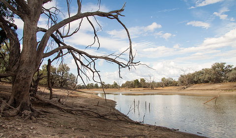 Toorale National Park - Accommodation Fremantle 0