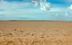 Toorale National Park - thumb 1