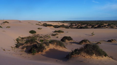 Mungo National Park - Accommodation Fremantle 2
