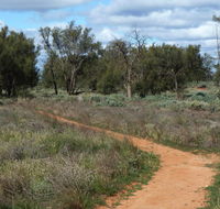 Grasslands Nature trail - Accommodation Fremantle