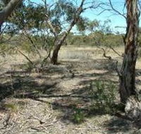 Tintinara Walking Trail - Accommodation Fremantle