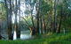 Five Rivers Fishing Trail - thumb 4
