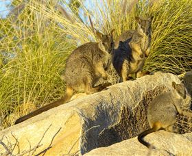 Towers Hill Lookout And Amphitheatre - Accommodation Fremantle 1