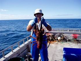 Lacepede Seafood - Accommodation Fremantle 2