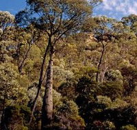 Ka Ka Mundi Carnarvon National Park - Accommodation Fremantle