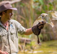 Territory Wildlife Park - Accommodation Fremantle