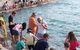 Aquascene - thumb 3