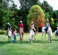 Limestone Coast Horseriding - Accommodation Fremantle