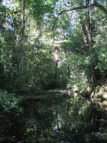 Misty Mountains Wilderness Walking Tracks - Accommodation Fremantle 0